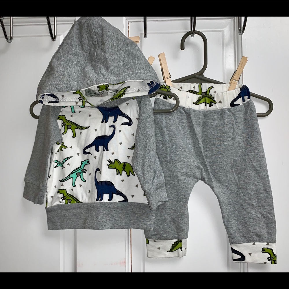 Dinosaur/grey hooded shirt/pant set
